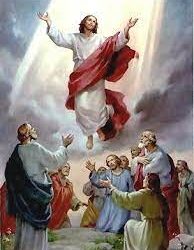 1 de junio. Domingo Ascensión del Señor. C