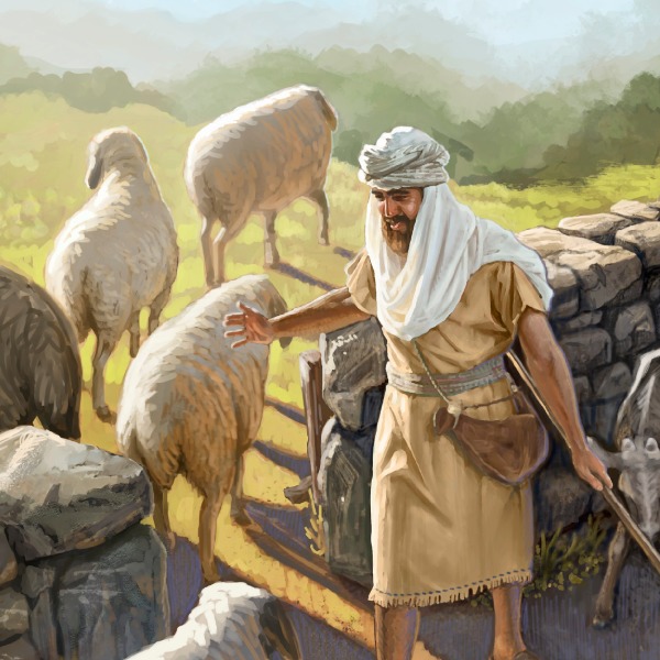 Yo soy la puerta de las ovejas